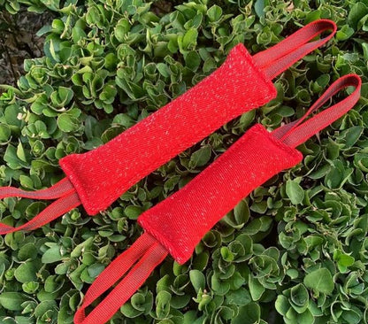Mordedor de Cuerda Resistente para Perros